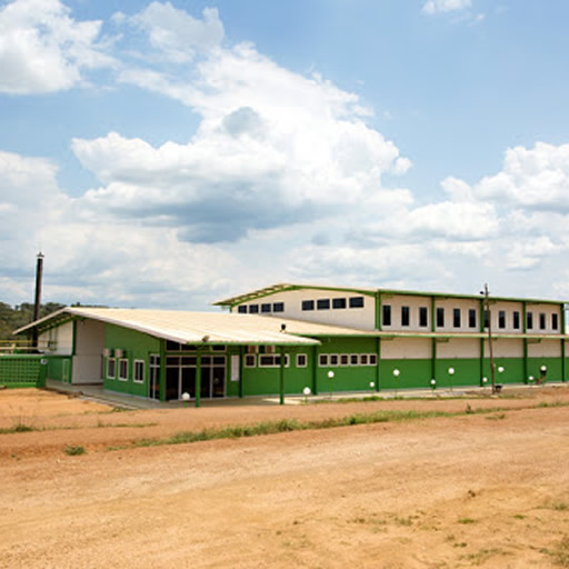Tomosi Diary farm